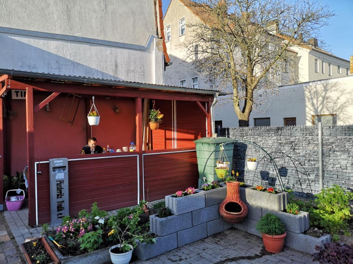 Pension Zur Gartenstadt Wittenberg Экстерьер фото